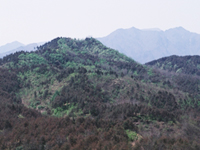 청대산